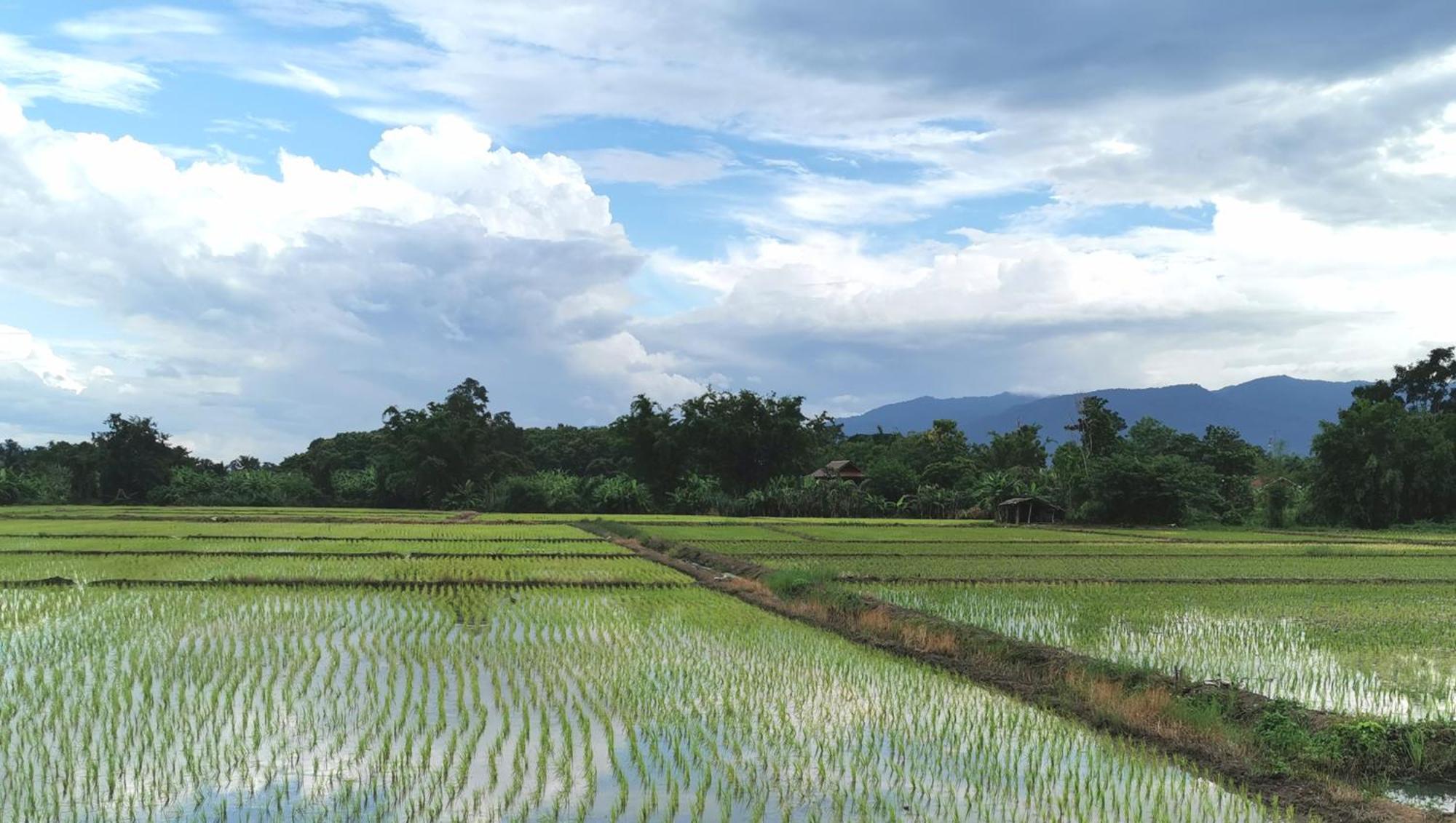 Wichouda Homestay Chiang Dao Exteriér fotografie